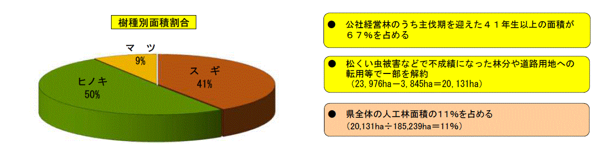 樹種別面積割合グラフ