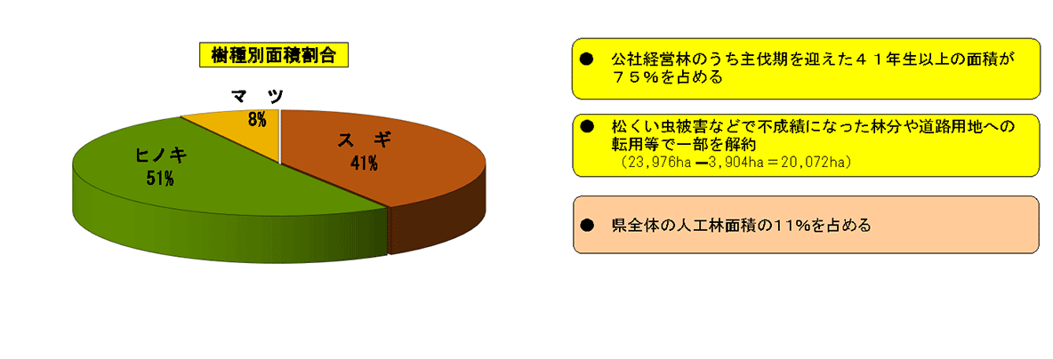 樹種別面積割合グラフ