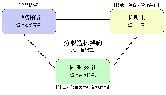 分収造林契約